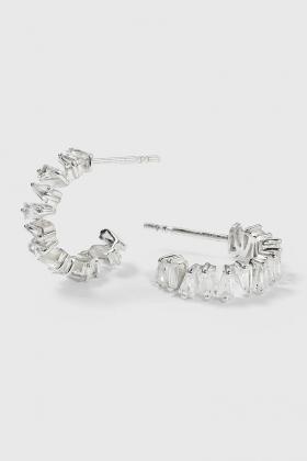 Iggy earrings, Silver